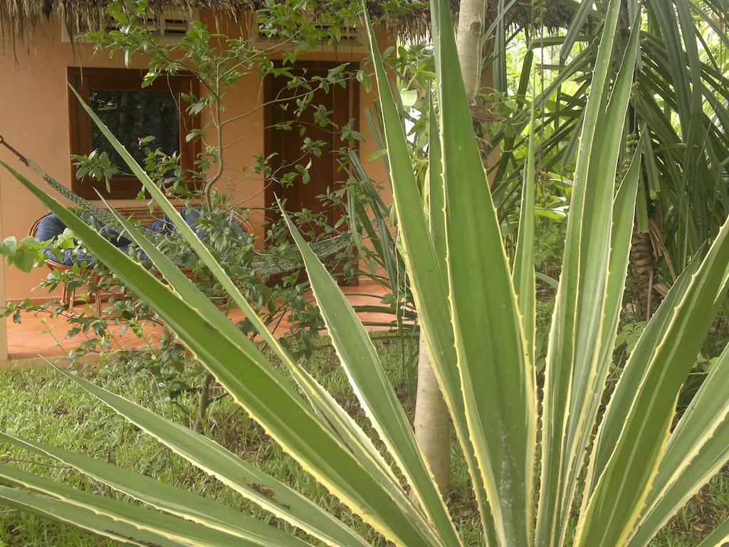 Botanica Hotel Kep Exterior photo