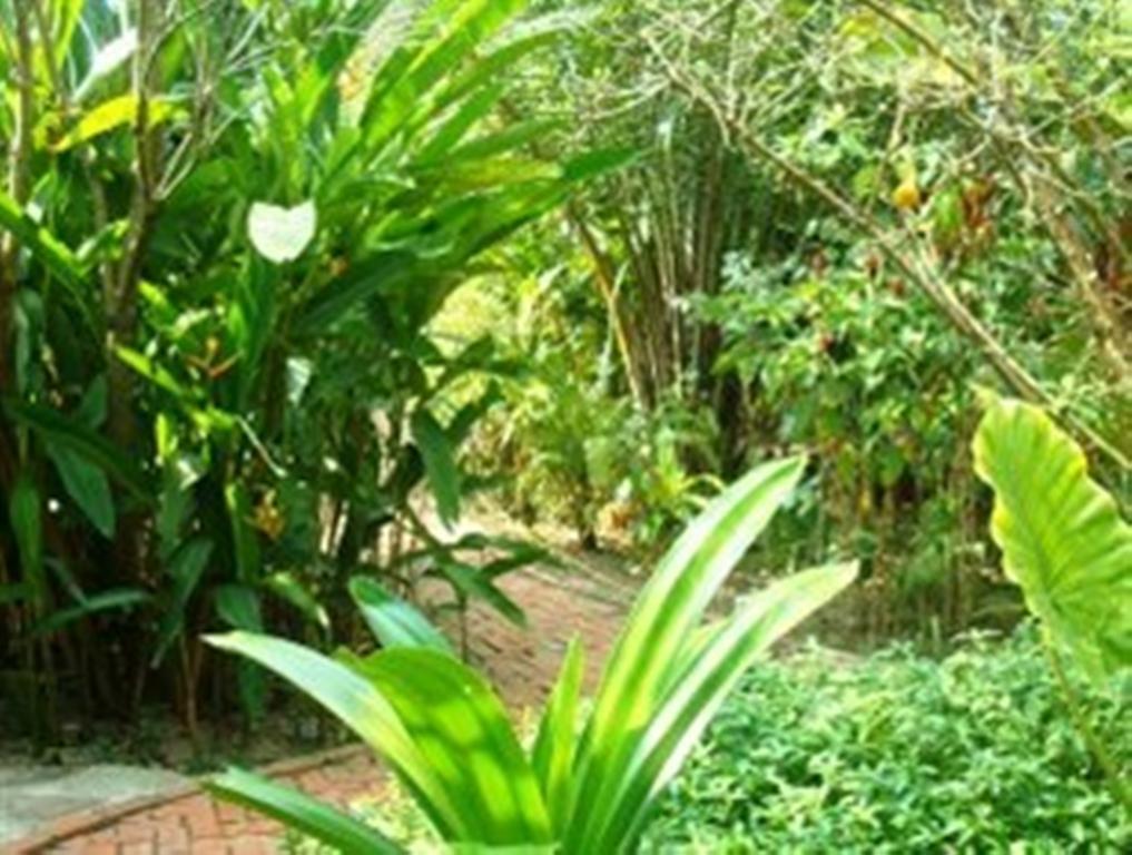 Botanica Hotel Kep Exterior photo
